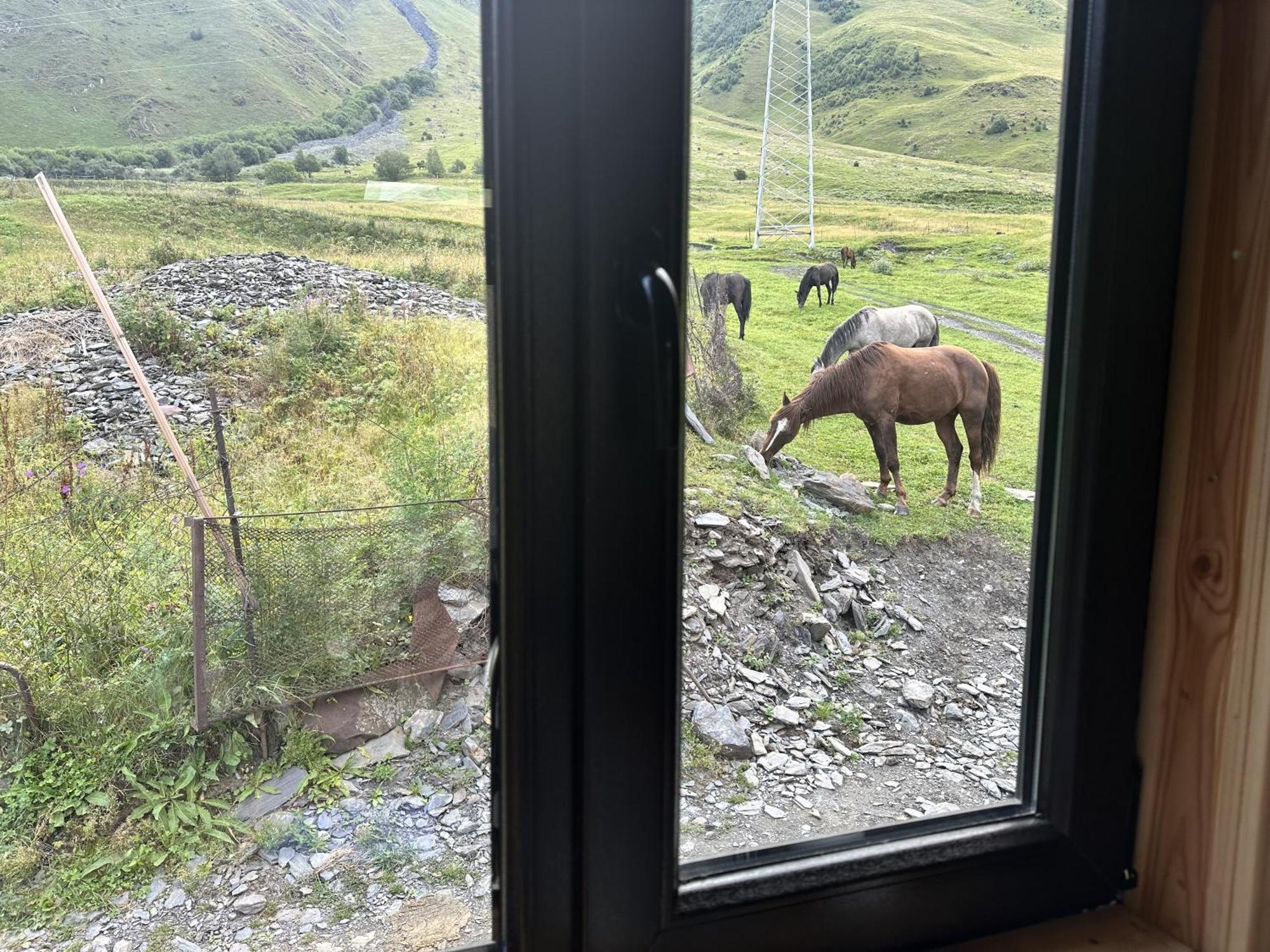 A&B Cottages Kazbegi Eksteriør billede